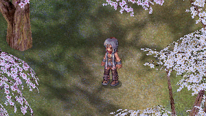 Aura Ninja.gif