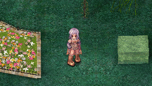 Arquivo:Despertar Homunculus.gif