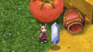 Arranhar.gif