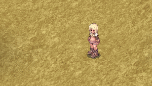 Arquivo:Instalar Armadilha.gif