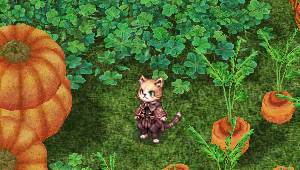 Gato-Mia.gif